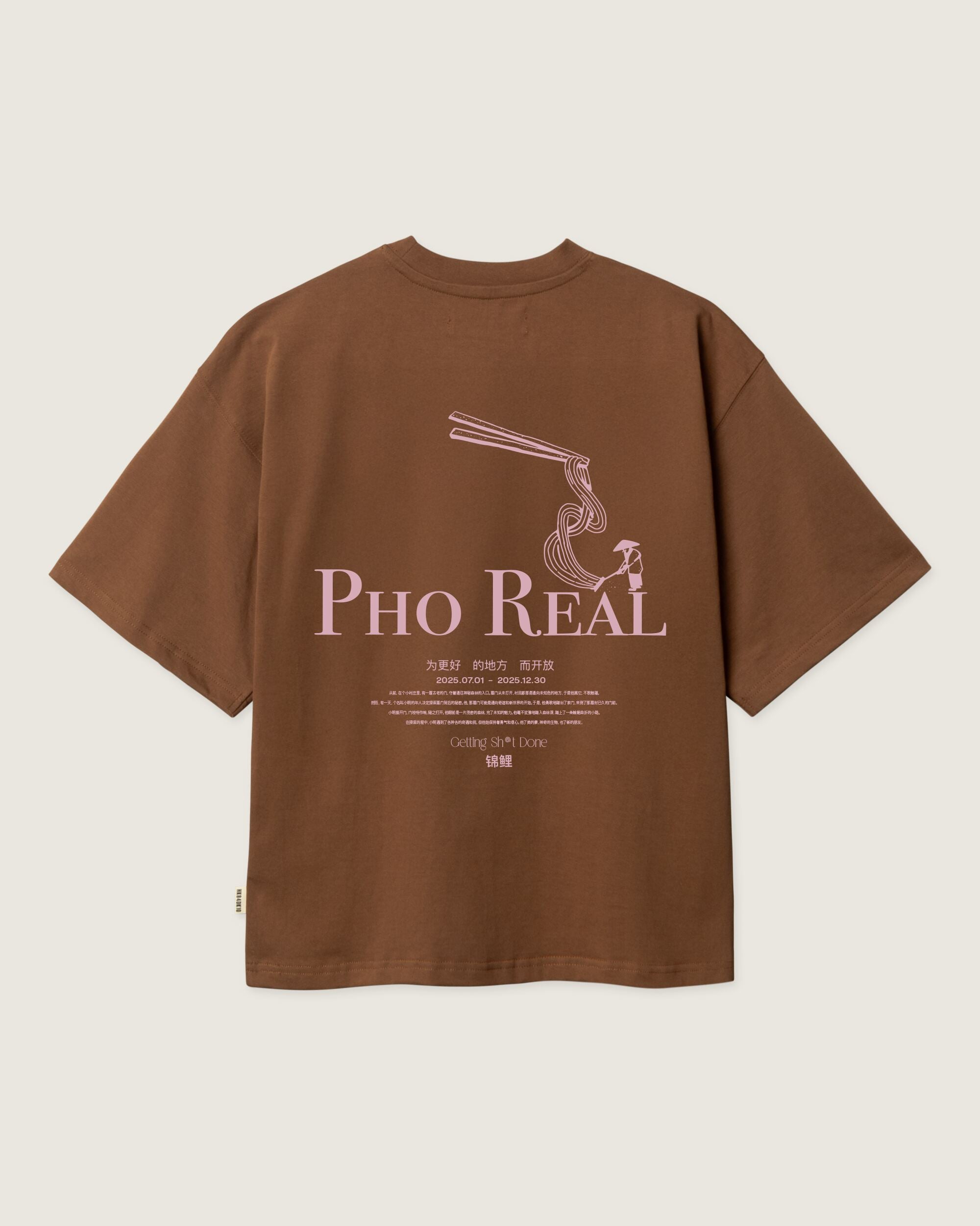 Woodbird Female WBJuno Pho Tee T-Shirts Dark Brown